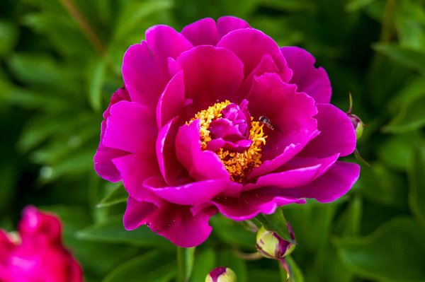 ¿Cuáles son las ventajas de optar por materiales reciclados en la decoración interior?