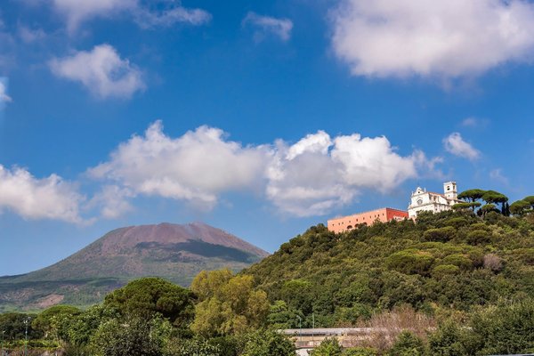 ¿Cuáles son los signos de una afección respiratoria en cobayas?