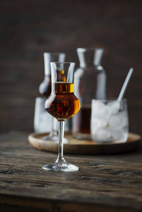 ¿Cómo prevenir los trastornos digestivos en los conejos domésticos?